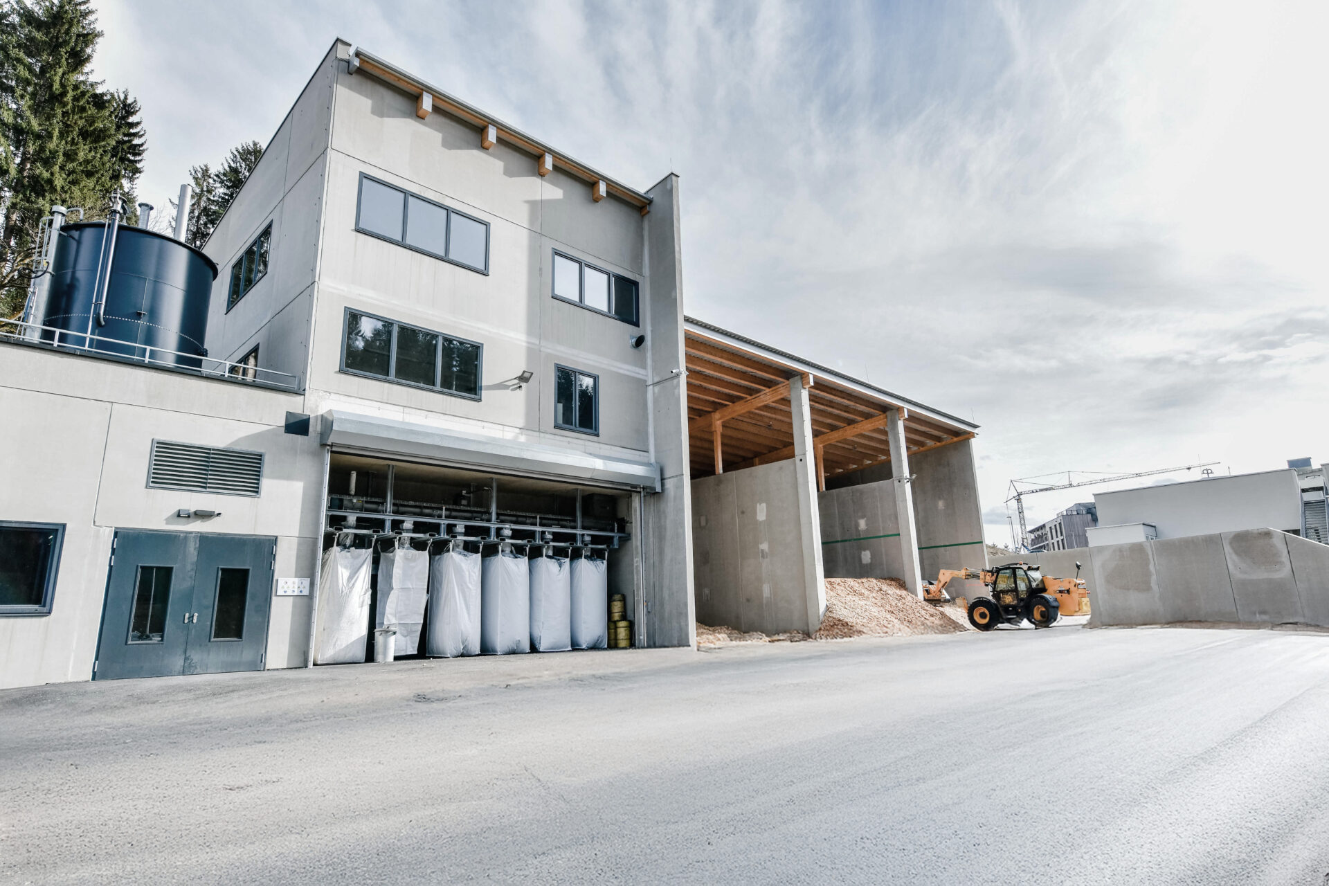 DSC_9875_entsättigt